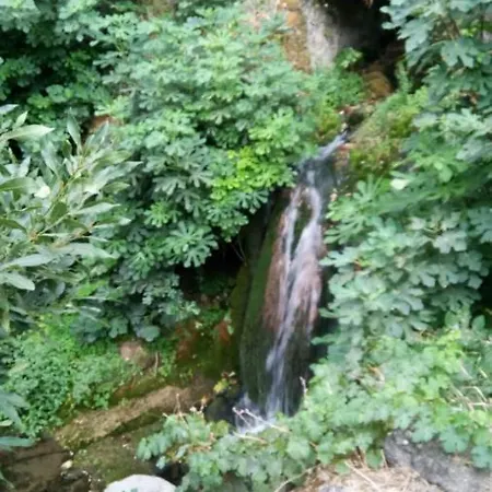 La Cueva De Juan Pedro Apartment Cazorla
